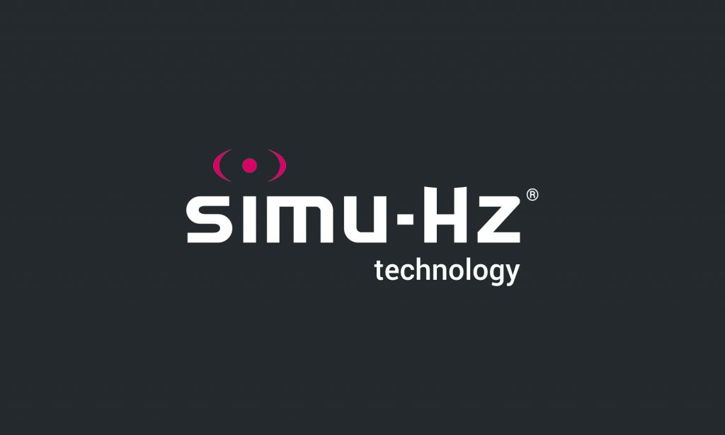 LOGO_SIMU_HZ