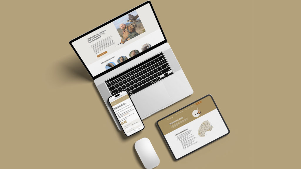 Site Squarespace CT Falconry