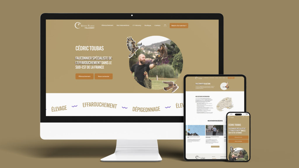 CT Falconry : site vitrine et e-shop Squarespace