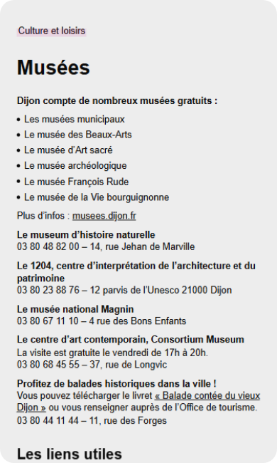 ville-de-dijon-ecran-musee
